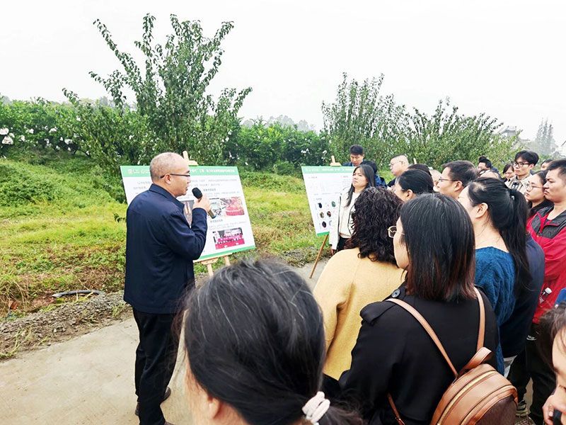 新朝陽生物技術助力綠色防控,推動柑橘產業綠色高質量發展